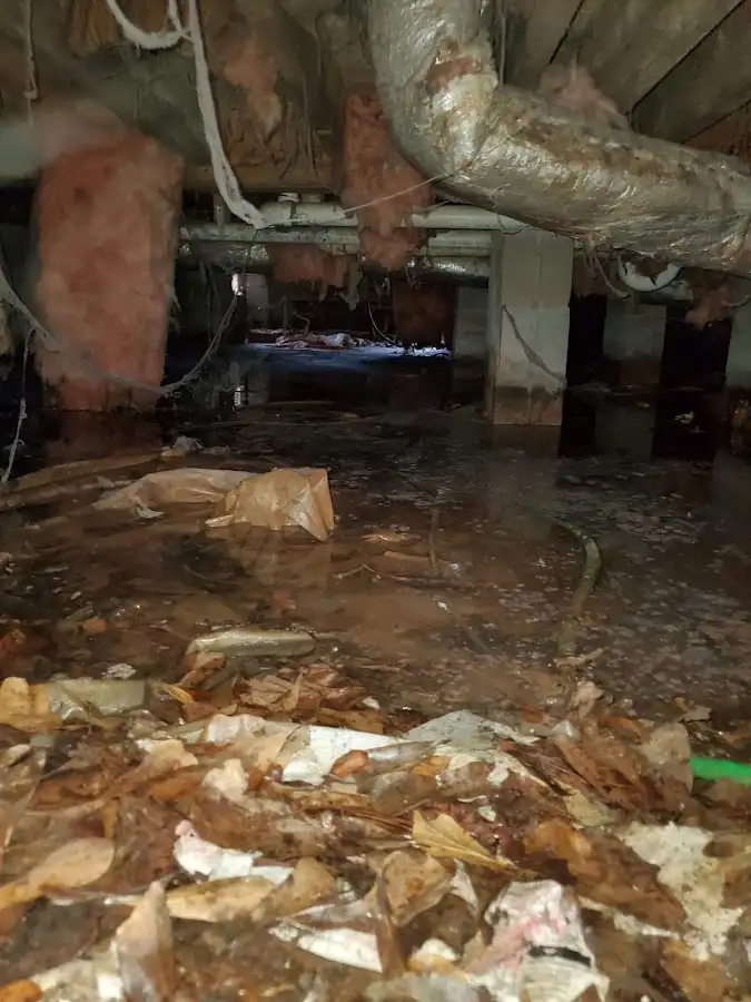 Crawl space flood assessment for Leak Detection & Repair in North Tustin